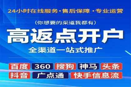 行业领先企业的SEM优化之路